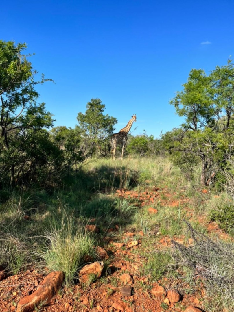 0 Bedroom Property for Sale in Rustenburg Rural North West